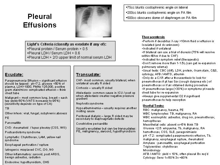 Gyrus Daily Questions; Internal Medicine 20 USMLE Forums
